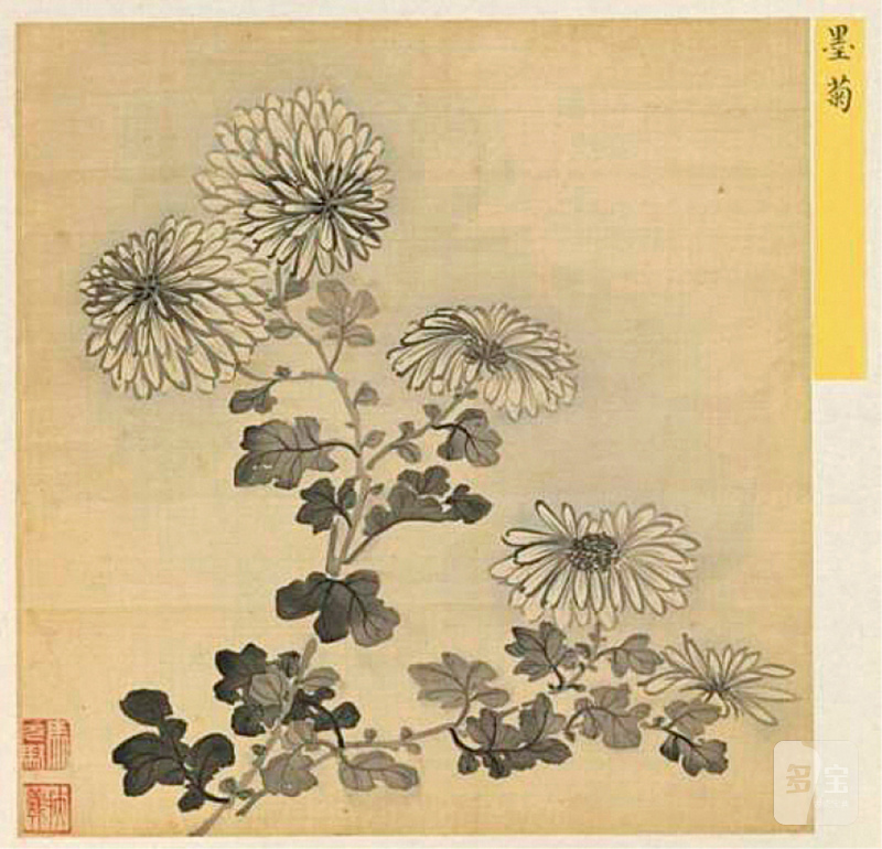 清雍正 珐琅彩胭脂红地菊花纹小盘 - 图4